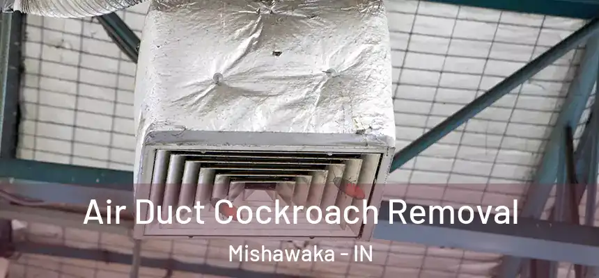 Air Duct Cockroach Removal Mishawaka - IN
