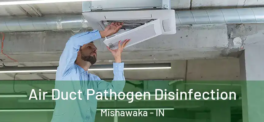  Air Duct Pathogen Disinfection Mishawaka - IN