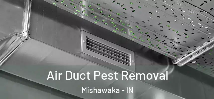 Air Duct Pest Removal Mishawaka - IN