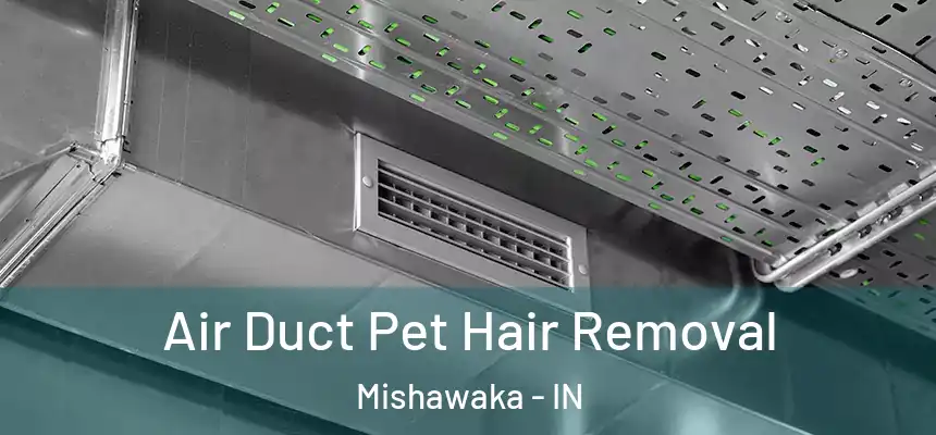 Air Duct Pet Hair Removal Mishawaka - IN