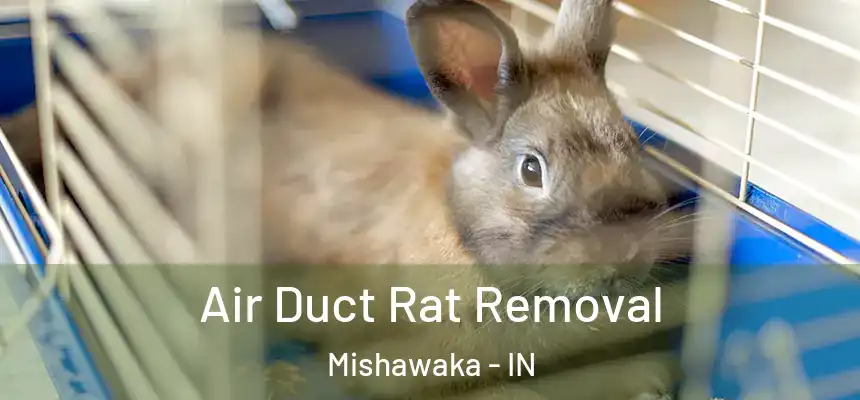  Air Duct Rat Removal Mishawaka - IN