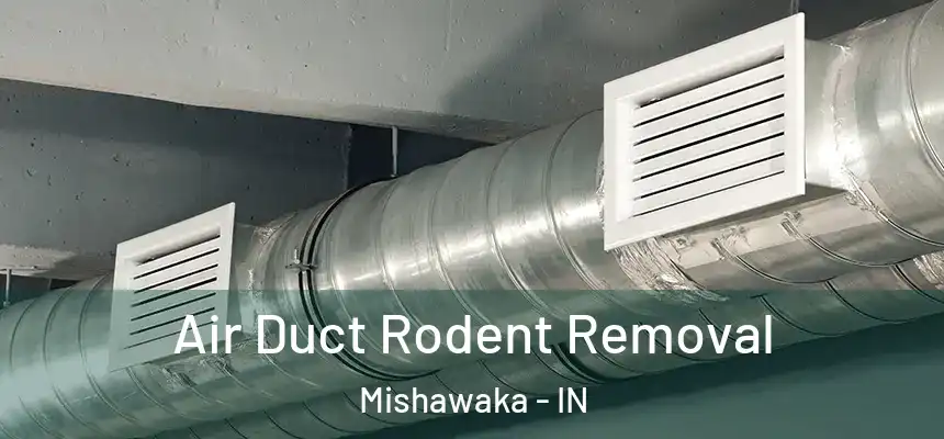 Air Duct Rodent Removal Mishawaka - IN