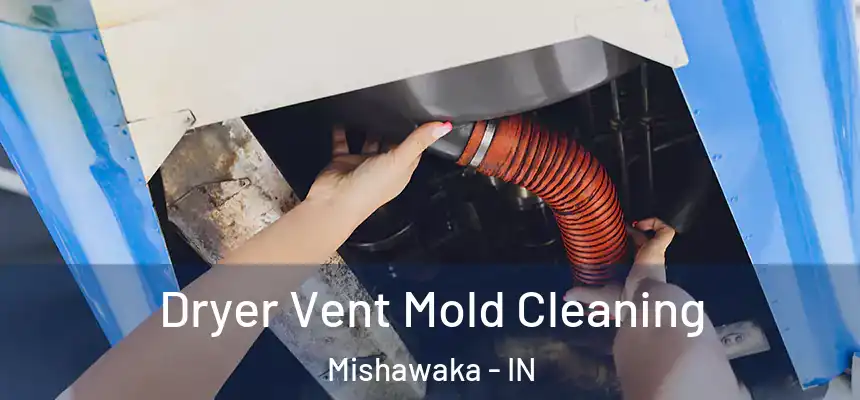  Dryer Vent Mold Cleaning Mishawaka - IN
