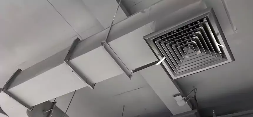 Restorative Allergy Relief Vent Cleaning – Coil, Blower & Housing Detail in Mishawaka