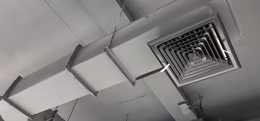 Our Pest Removal From Ducts Services in Mishawaka, IN