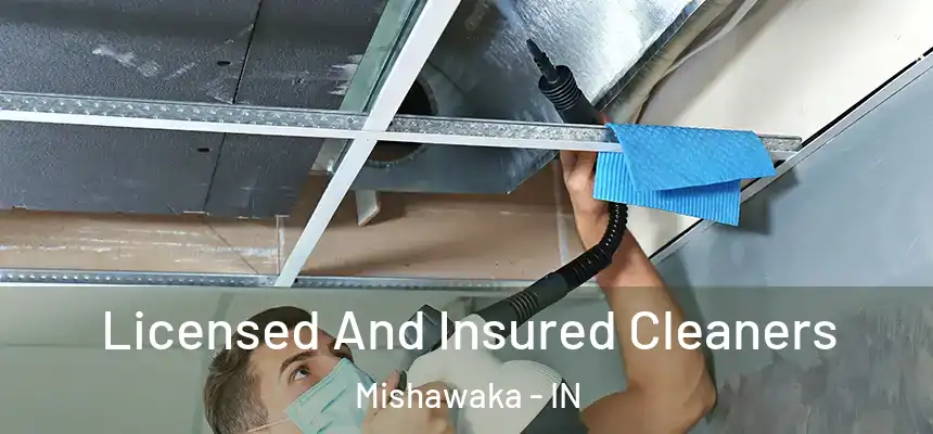 Licensed And Insured Cleaners Mishawaka - IN