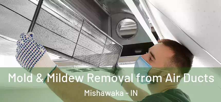 Mold & Mildew Removal from Air Ducts Mishawaka - IN