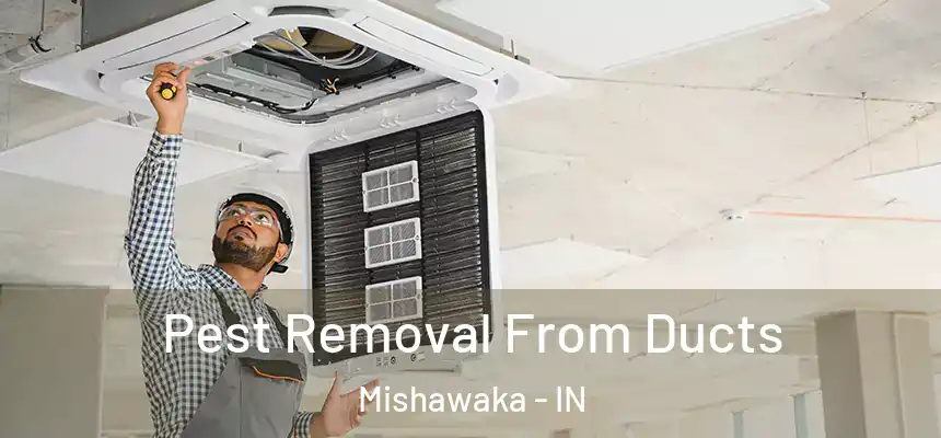 Pest Removal From Ducts Mishawaka - IN