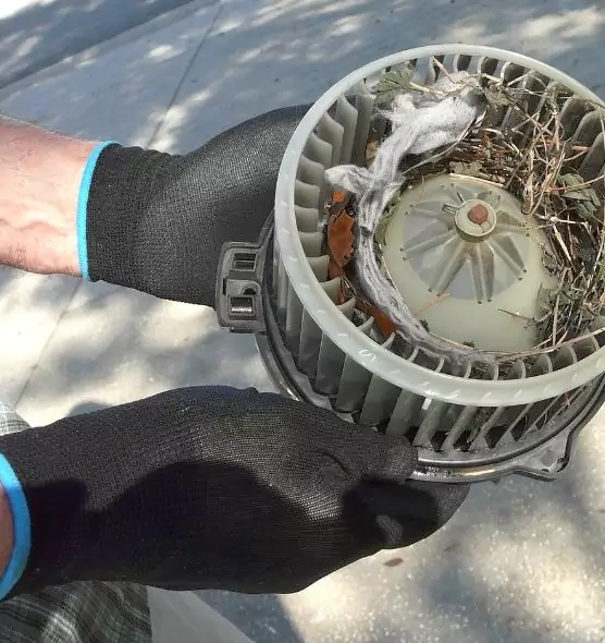 About Air Duct Mice Removal in Mishawaka, IN