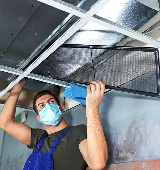 Professional Air Duct Pollen Cleaning in Mishawaka, IN