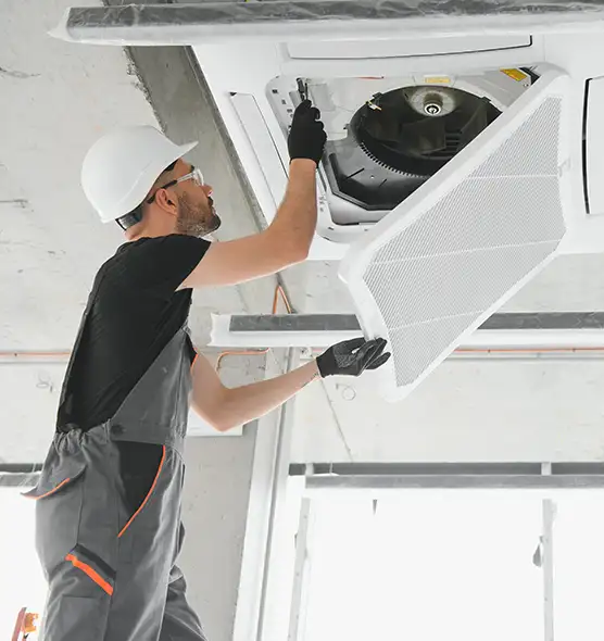 About Air Duct Rodent Removal in Mishawaka, IN