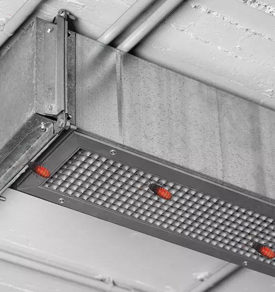 Affordable Insect Removal from Air Ducts in Mishawaka, IN