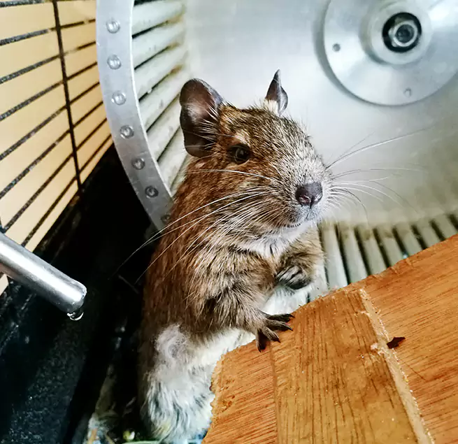 Why Homeowners & Businesses Trust Us Mishawaka, IN